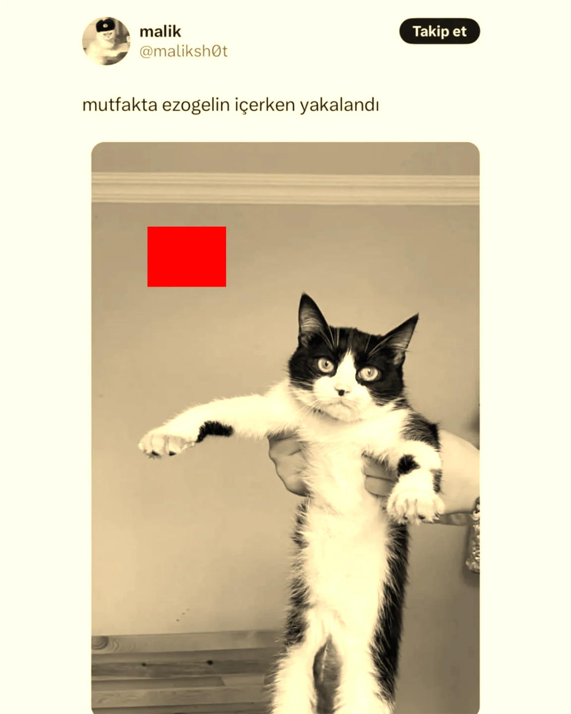 67d635376f709.webp
