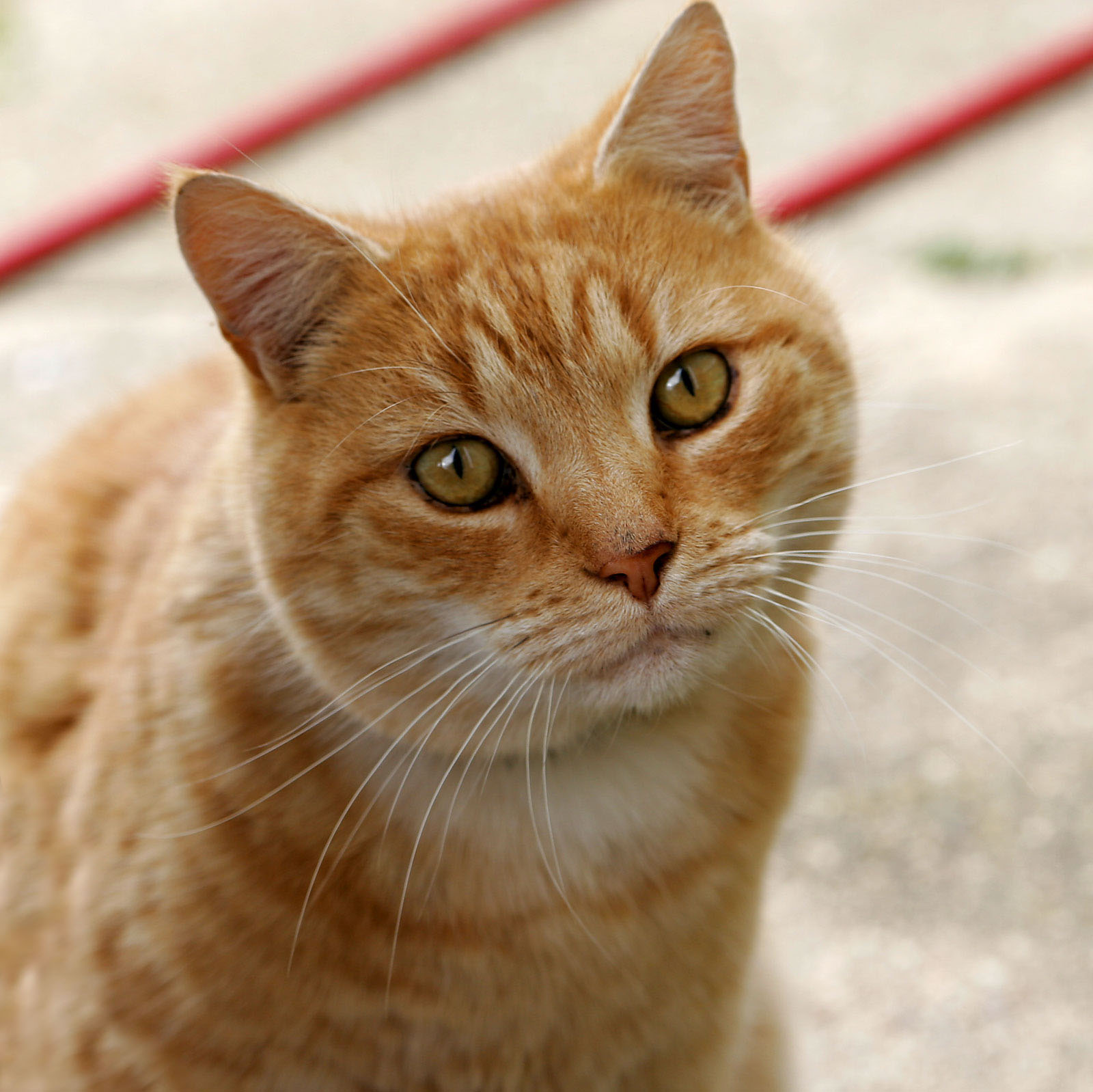 67f58d58c4deb.jpg