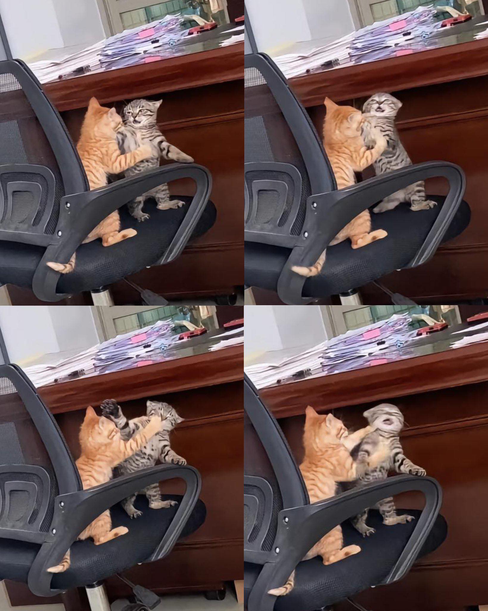 DQsniQcM.jpg
