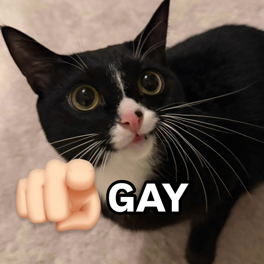 LHntOKle.jpg