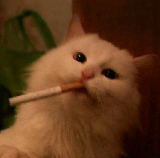 LsODbMwN.jpg