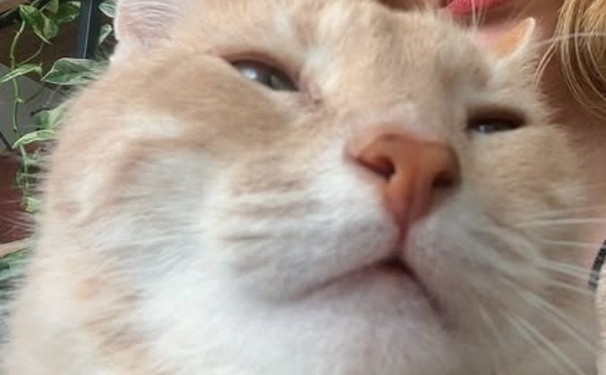 OOsPDSBP.png