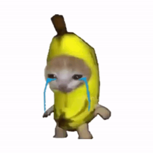 OQNgkrSz.gif