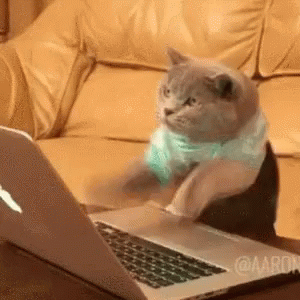 TmJIoiBq.gif
