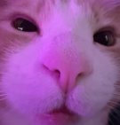 Zen_UwlJzgNz.jpg