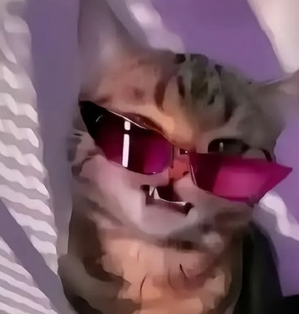 aHXDKtlU.png