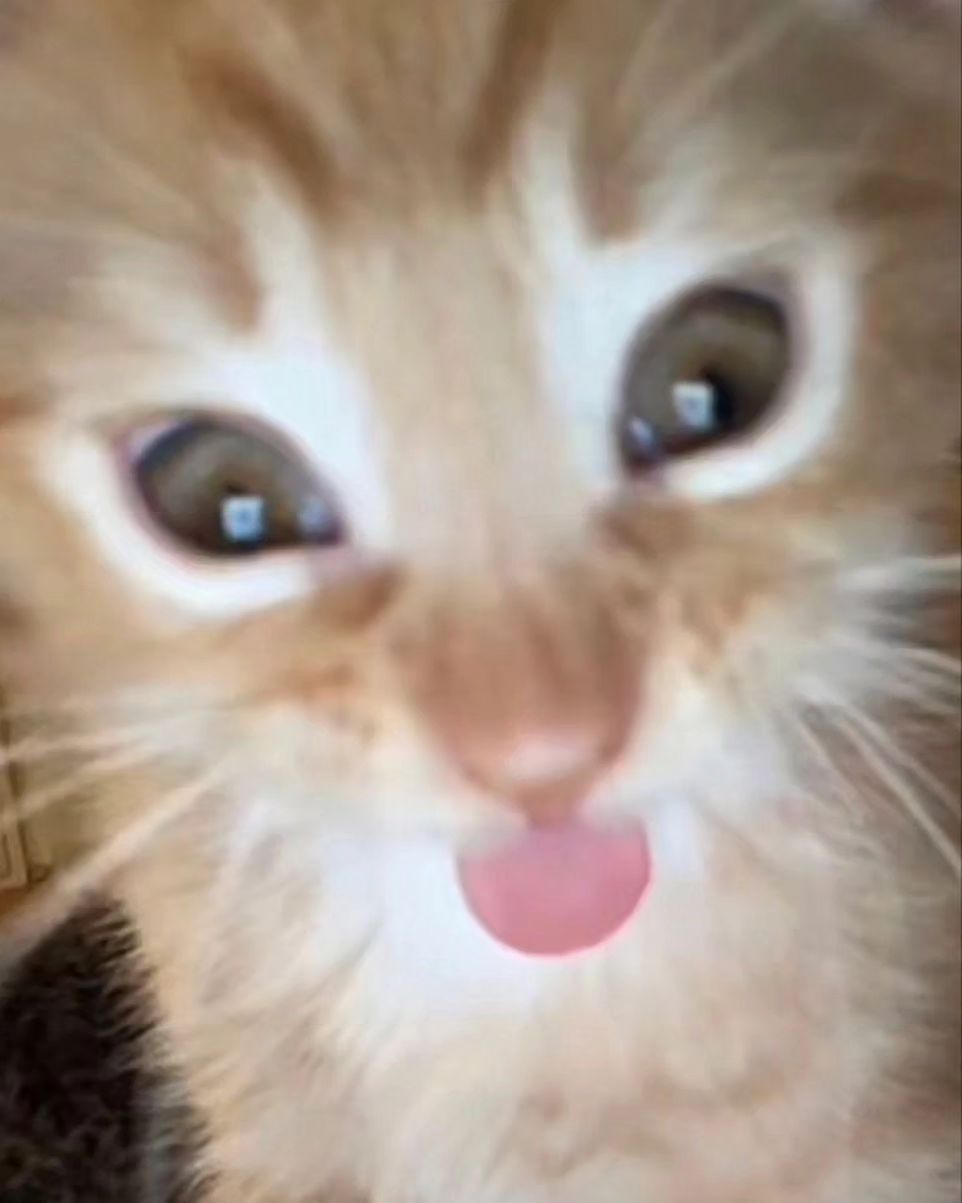 klcXRLVQ.jpg