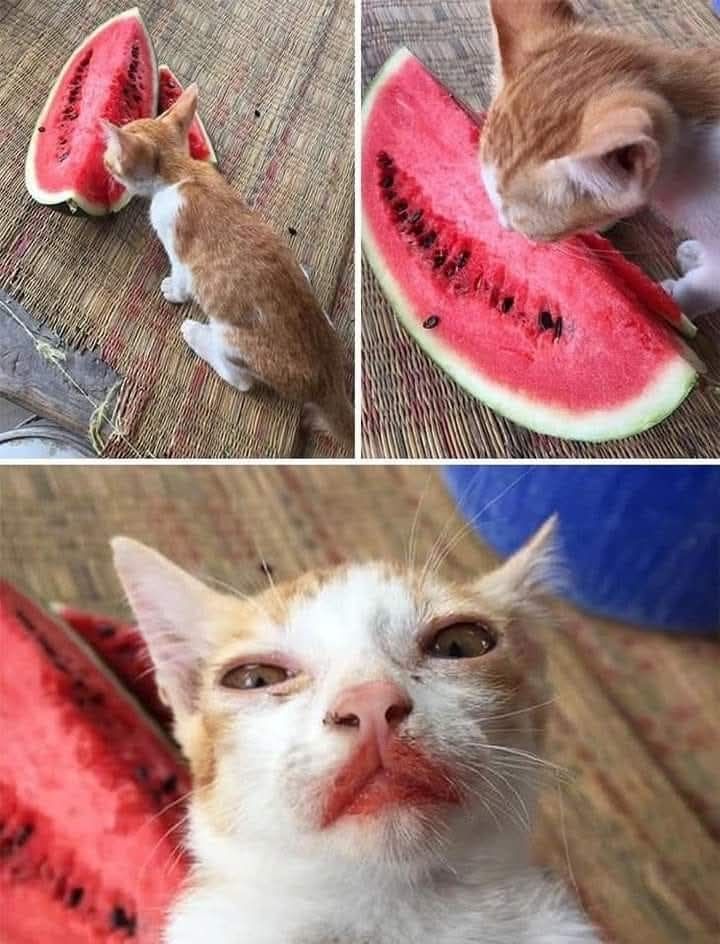 nCzjcQdq.jpg