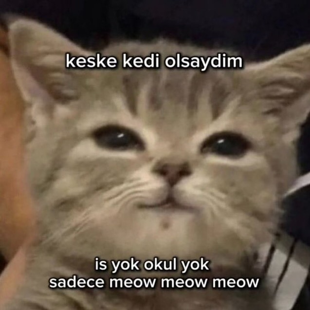 oiiYQtJK.jpg