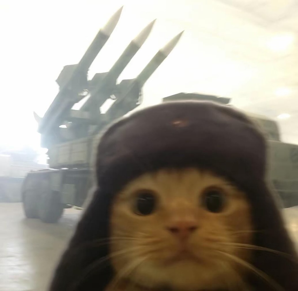 wPSSUveu.jpg